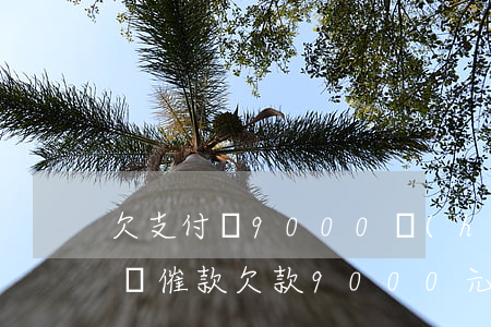 欠支付寶9000會(huì)起訴么，支付寶催款：欠款9000元是否會(huì)面臨訴訟風(fēng)險(xiǎn)？